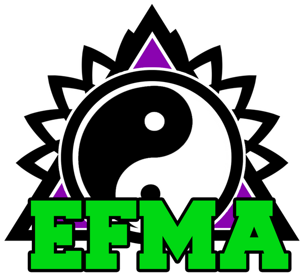 EFMA Martial Arts Equipment Store
